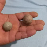 فسیل|کلکسیون اشیاء عتیقه|فیروزآباد (فارس), |دیوار