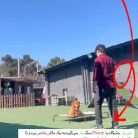 مربی سگ ، آموزش سگ|خدمات آموزشی|اهواز, کیانپارس |دیوار