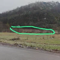 دو هکتار املش متری ۴۷۰،۰۰۰ تومان