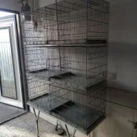 قفس ۶ خان و لانه مرغ عشق|لوازم جانبی حیوانات|کاشان, ولیعصر|دیوار