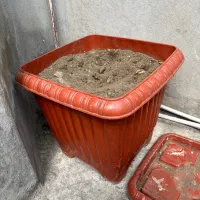 گلدون گلدان بزرگ