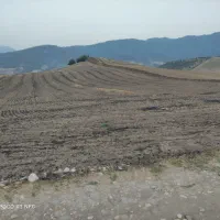 زمین کشاورزی
