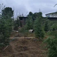 زمین-170متر-کاربری-مسکونی-سند6دانگ