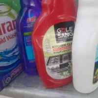 یه خانم برا نظافت منزل