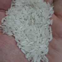 برنج/برنج ایرانی/خوشپخت اقتصادی
