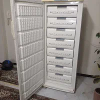 یخچال فریزر ارج
