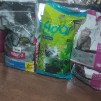غذای گربه خشک برای توله و بالغ