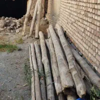 خریدار چوب سقفی و چوب باغی ودرخت با بالاترین قیمت