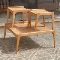 همکار نقاش مبلمان و صندلی