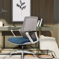 صندلی طبی کارمندی تحریر لیو مدل I62