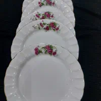 ظروف پذیرایی|ظروف سرو و پذیرایی|تهران, امام حسین|دیوار