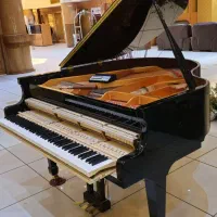 کوک و رگلاژ پیانو و کارشناسی و مشاوره در خرید|پیانو، کیبورد، آکاردئون|اصفهان, باغ زرشک|دیوار