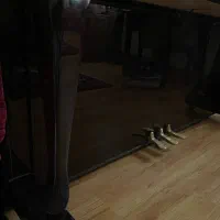 پیانو آکوستیک|پیانو، کیبورد، آکاردئون|تبریز, |دیوار