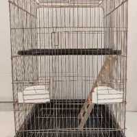 قفس عروس هلندی و کاسکو