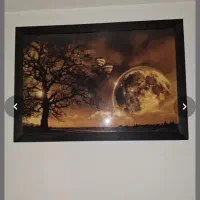 ۲تافرش ۴متری طرح و جنسشون متفاوته