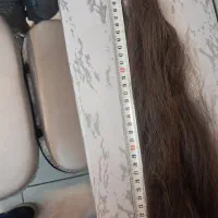 ۵۲ سانت|آرایشی، بهداشتی، درمانی|تهران, شهرک فردوس (حسینی)|دیوار