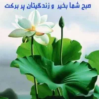 راهنمایی