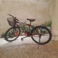 دوچرخه برند پلیس