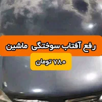 وی تی از خود رنگ بدون دستکاری HLO با کارت گارانتی