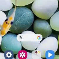 مدارک گمشده