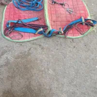 زین اسب سواری.کله گیر.لقام یادهنی.زین بهاره.عرقگیر|اسب و تجهیزات اسب‌سواری|صحنه, |دیوار