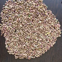 مغز پسته پسته گرمی