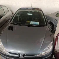 ۲۰۶ دلفینی