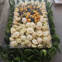 مانتو مسافرتی جاده چالوس|لباس|کرج, باغستان|دیوار