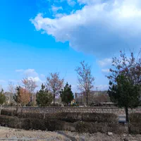 تجاری بلوار جمهوری فروش یا اجاره|اجارهٔ مغازه و غرفه|گلبهار, شهر جدید گلبهار|دیوار