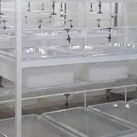 زالو درمانی فروش زالو طبی زالو آرایشی زالو پرورشی