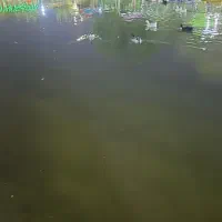 رهن خونه ویلایی