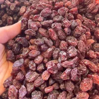 مویز بدون هسته مخصوص خوردن|خوردنی و آشامیدنی|شیراز, شهرک مدرس|دیوار