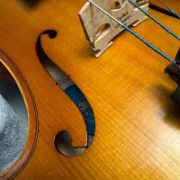 فروش ویولن تی اف 142