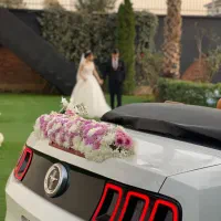 اجاره فورد موستانگ کروک