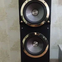 اسپیکر خانگی میکرولب