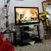میز تلویزیون شیشه ای نو نو