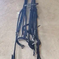 یک عدد زین و یه سر کلگی کامل