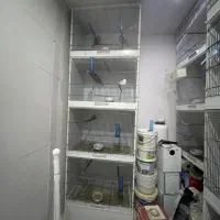 ۳ دست قفس پی وی سی ۴ خان