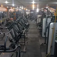 باشگاه دنسازی و بیلیارد|خدمات آموزشی|شیراز, رازی|دیوار