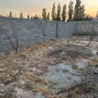 زمین باغی . چهار دیواری . خیابان اقاقیا ۲ ماهدشت|فروش زمین و ملک کلنگی|محمدشهر, محمدشهر|دیوار