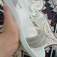 کفش مجلسی|کیف، کفش، کمربند|زنجان, |دیوار