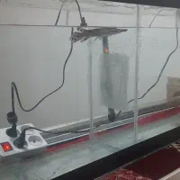 آکواریوم ۴۰ سانتش جدا کردم