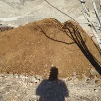 سلام کود حیوانی مناسب درخت ودرخت کاری