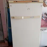 فریزر پارس پنگوئن