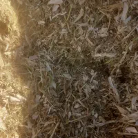 کاه لوبیا|لوازم جانبی حیوانات|رباطکریم, رباطکریم|دیوار