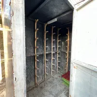 گنجه کفتری|پرنده|شیراز, گویم|دیوار