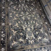 فرش ماهرخ|فرش|رشت, جماران|دیوار
