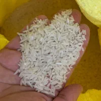 برنج و نیم دانه طارم هاشمی