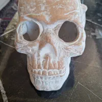 کله اسکلت