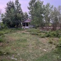 فروش زمین  مسکونی ۲۵۰ متری / همراه پروانه ساخت|فروش زمین و ملک کلنگی|لشت نشا, |دیوار